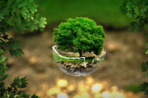 Banning false environmental claims benefits private equity