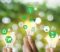 SMEs see ESG clauses as sustainability drivers