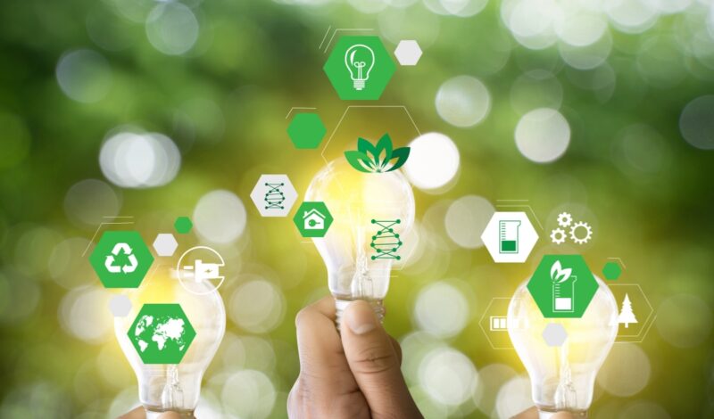SMEs see ESG clauses as sustainability drivers