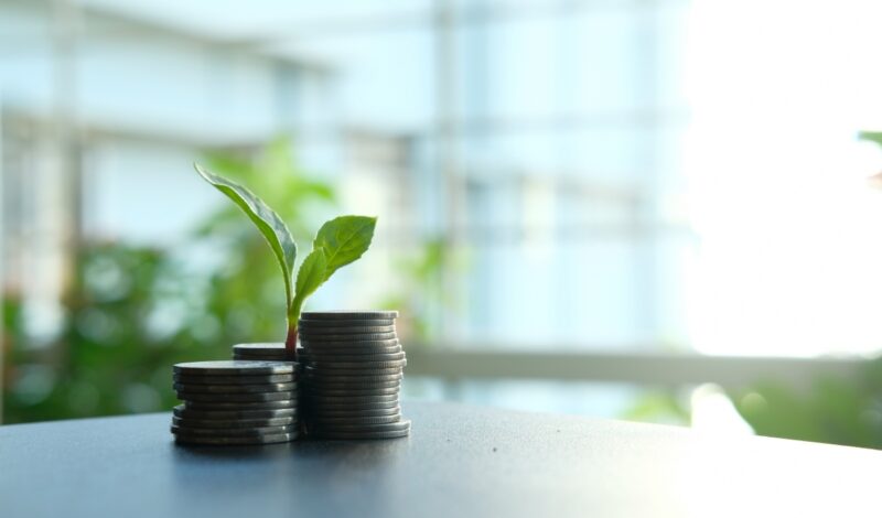 Slow growth of green deposits and green bonds in India